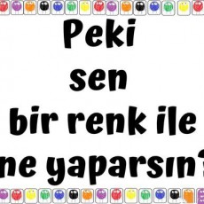 Renklerle İletişim: Peki Sen Bir Renk ile Ne Yaparsın? Eğitsel Materyali