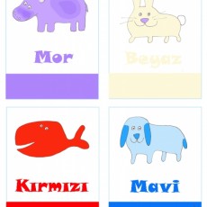 Renkler ve Hayvanlar: Mor (Hipopotam), Beyaz (Tavşan), Kırmızı (Balina), Mavi (Köpek)
