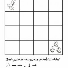 Doğru Yön Bulma Oyunu: Tavuk ve Yavru İlişkisi