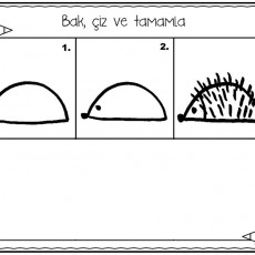 Hedgehog Drawing Activity: Look, Draw and Complete