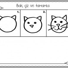 Eğitici Çalışma Sayfası: Kedi Çizimi ve Tamamlama
