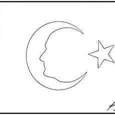 Türkiye Bayrağı Tasarımı ve Atatürk İkonografisi
