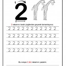 Zürafa Sayma ve Rakam Yazma Etkinliği