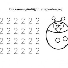 Eğitici Materyal: 2 Rakamı ve Çizgilerle Eğlence