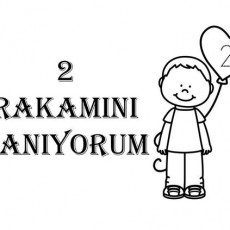2 RAKAMINI TANIIYORUM - Eğitici Materyal