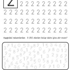 2 Rakamı Eğitimi: 2 (İki) Sayısını Bulma ve Daireye Alma Etkinliği