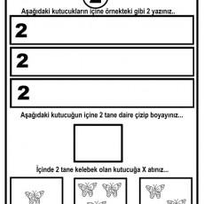 Eğitsel Materyal: Sayı ve Şekil Tanıma - 2 ve Kelebekler