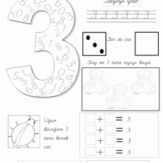 3 Hakkında Her Şey - Temel Matematik Eğitimi