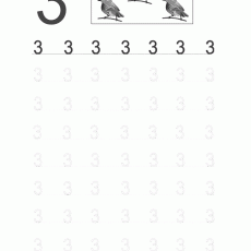 3 Sayısı ve Üç Kuş: Temel Matematik Öğrenimi