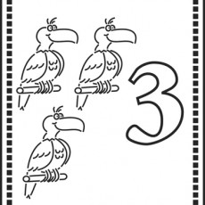 3 CUTE BIRDS LEARNING NUMBERS
