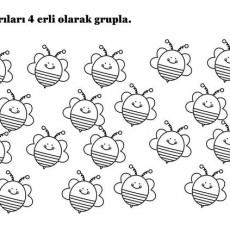 Dört Arı Grubu: Eğitici Çalışma Sayfası