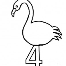 Dört Flamingo: 4 (Dört) Sayısı ve Flamingo Eğitimi