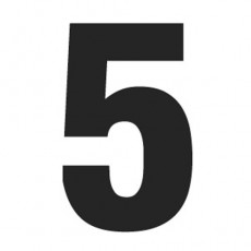 Büyük Harf ile Beş: 5 (BEŞ)
