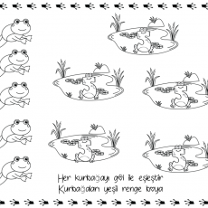 Frog Coloring Activity and Match Game: 6 Frogs, Color the 3 Ponds, Educational Art Exercise
