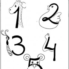 1- Giraffe, 2- Duck, 3- Insect, 4- Snake, 5- Bear: Educational Numeracy and Animal Identification