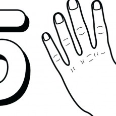5_Rakamı_ve_Bir_Elin_Resmi