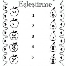 Eşleştirme: Elmalar ve Armutlar - 5 Haneli Eğitim Materyali