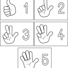 Eğitici Parmak Sayısı Kartları: 1 (Bir), 2 (İki), 3 (Üç), 4 (Dört), 5 (Beş)
