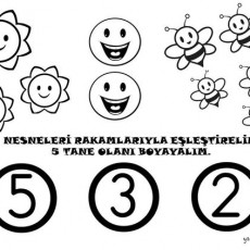Eşleştirme ve Boyama Etkinliği: 2 Arı, 3 Gül, 5 Gül Yüzü ile Sayılar