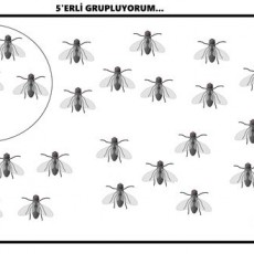 5'li Gruplama: İlkokul Matematik Etkinliği - Arı Görselleri
