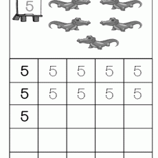 5 Aligator Sayma Çalışması