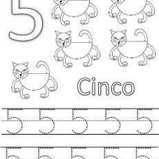 5-Cinco-İspanyolca-Rakam-Oyuncak-Kedi-Çizim-Eğitim-Materyali