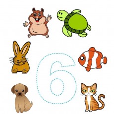 Hayvanlar ve sayılar: 6 (Altı)