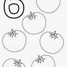 6 Tomato Coloring Worksheet