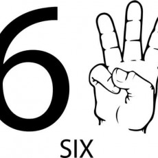 6_SIX_Rakamı_Yüzde_Altı