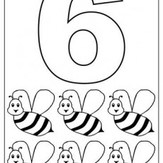 6_Six_Bees_Educational_Activity
