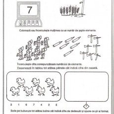 Eğitim Materyali: Sayı 7 ve Temel Matematik Aktiviteleri
