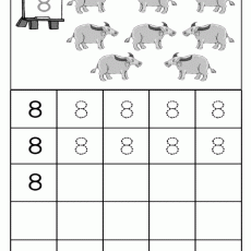 Hayvan Sayma Etkinliği: 8 Sayısı ve Sığır