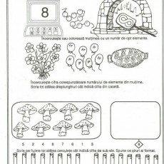 08_Neşevi_certain_cu_cifra_opte_din_obiecte_educaționale