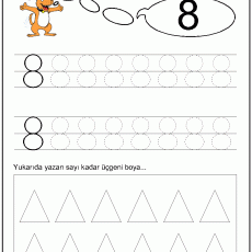 Sayılar Çalışma Sayfası: 8 - Öğrenme Etkinlikleri