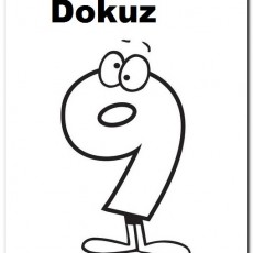 Dokuz 9 - Sayı Eğitimi