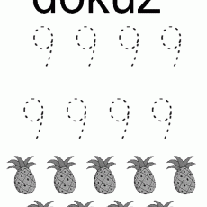 Dokuz Sayısı ve Ananaslar Etkinlik Çalışması