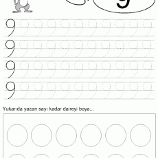 9 Sayısı ve Daire Boyama Uygulaması