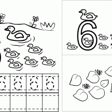 Ducks and Number 6 Coloring Activity