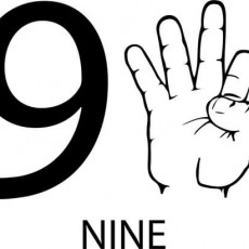 9 (NINE) - Sayılar ve Sayma Eğitimi