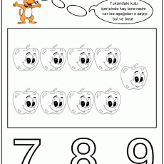 Sayılar Çalışma Sayfası: 7 Dört, 8 Dört, 9 Dört