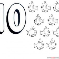 10_Tatlı_Balıklar_ve_Sayısal_Eğitim_Materyali