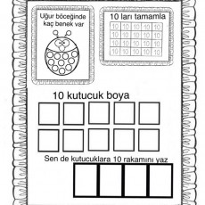Uğur Böceği ile 10 Sayısını Öğrenme Etkinliği