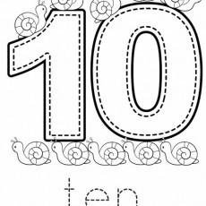 Eğitici Sayılar: 10 (ten) ve Salyangozlar