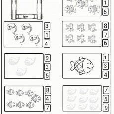 Temel Matematik Sayma Etkinliği: Balık ve Balina Sayısı