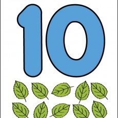 Eğitici Etkinlik: 10 (On) Sayısını ve Yaprak Sayısını Öğrenme