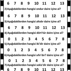 Matematik Testi: Rakamların Daire İçine Alınması