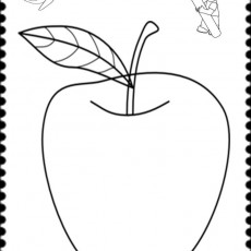 KIRMIZI (2).jpg