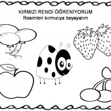 kırmızı karışık (2).jpg