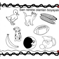 sarı (2).jpg