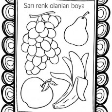 sarı  (6).jpg